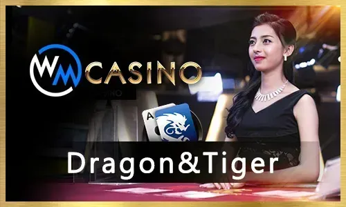 Nustar Live Casino